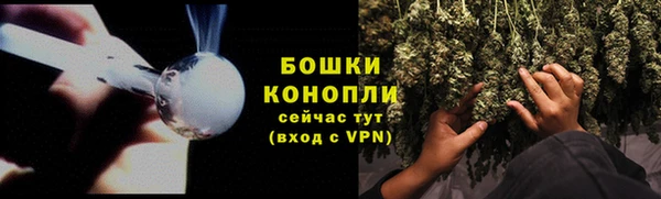 сатива Балабаново