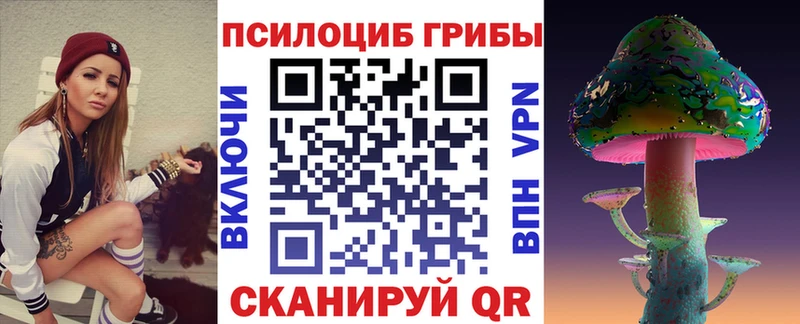 Галлюциногенные грибы Psilocybe  Валуйки 